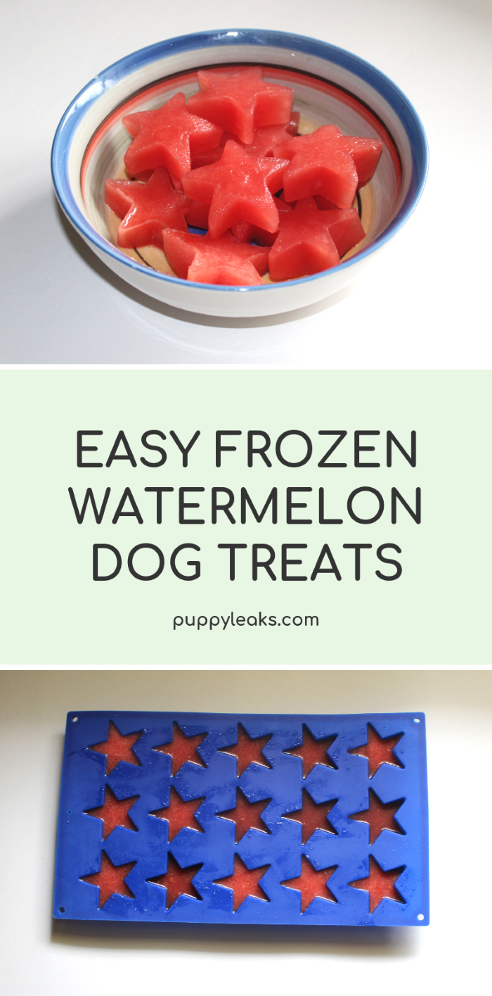 Super Easy Frozen Watermelon Dog Treats