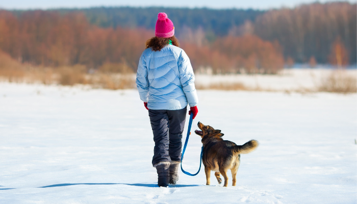 Comment enseigner à votre chien les bonnes manières de la laisse