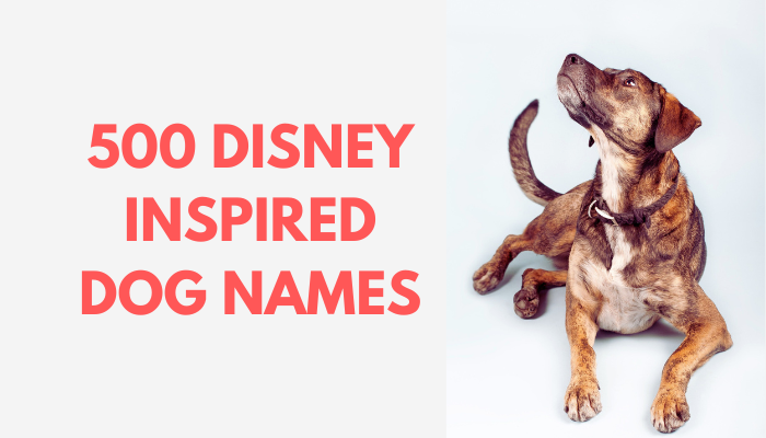 500 Disney Dog Names