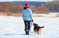 10 Health Benefits of Having A Dog
