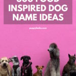 500 Food Inspired Dog Name Ideas
