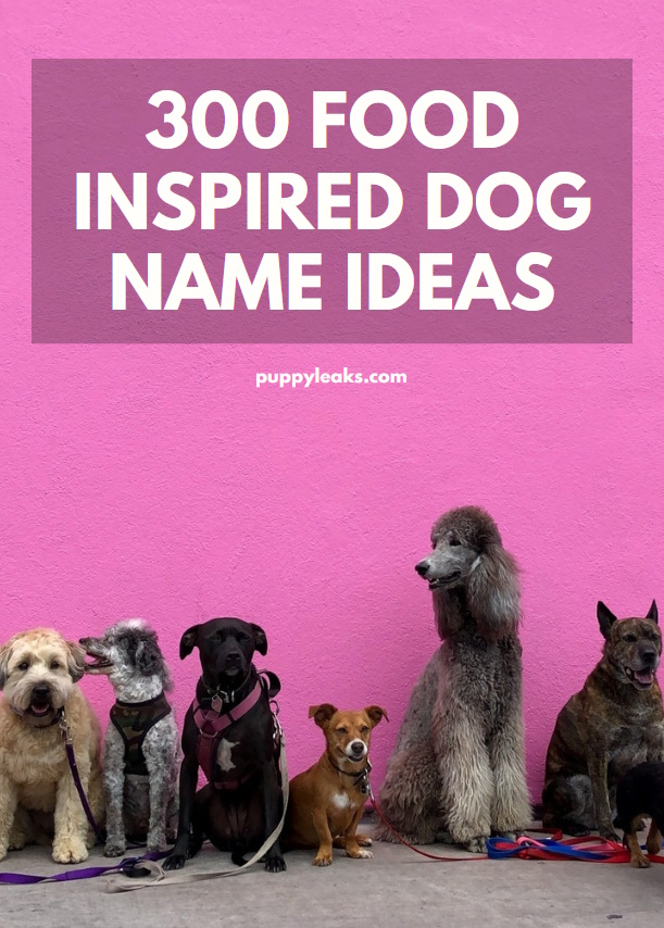 500 Food Inspired Dog Name Ideas