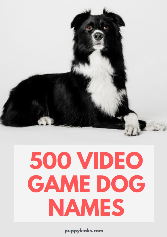 Nomes de videogame para cães