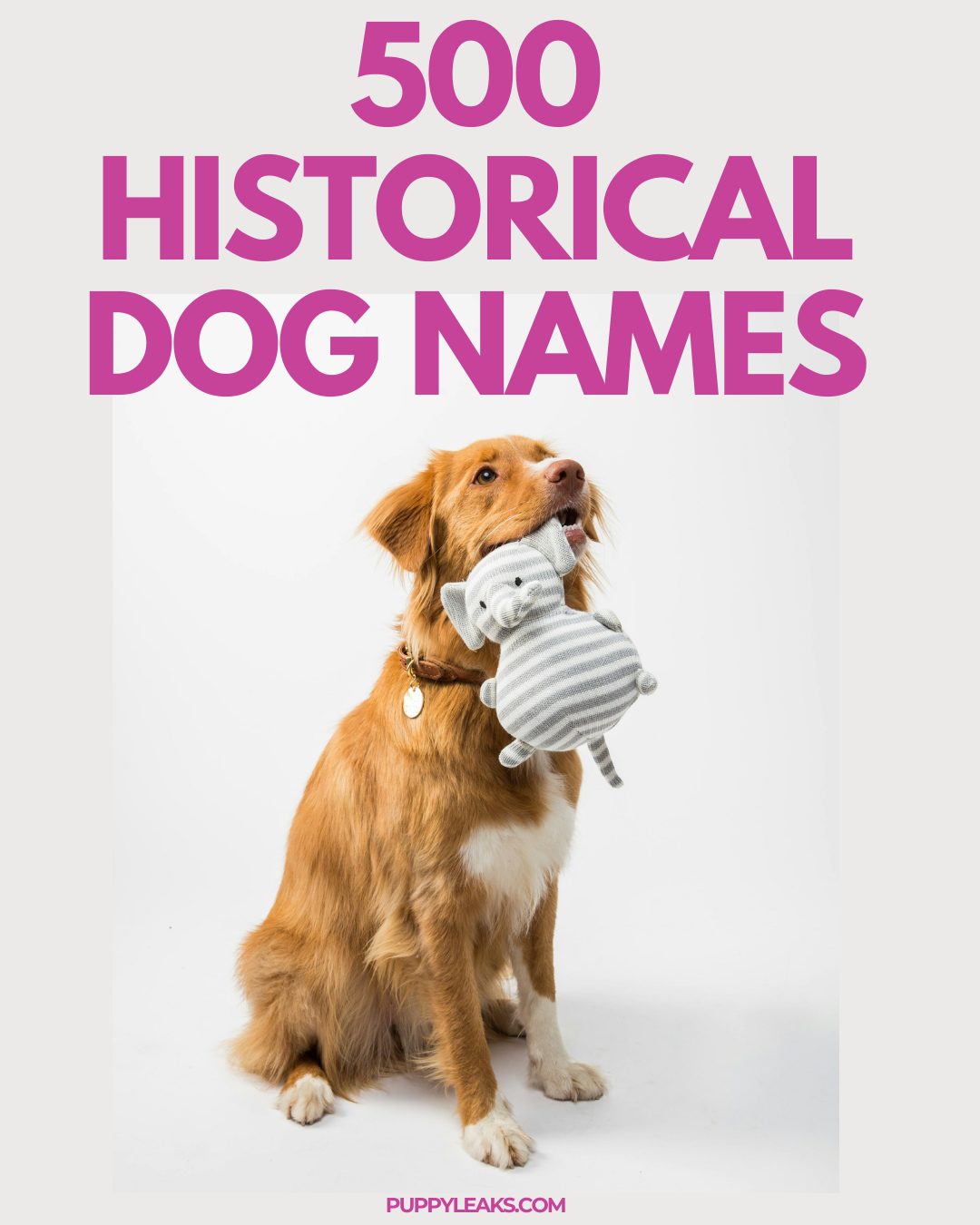 500 History Inspired Dog Names