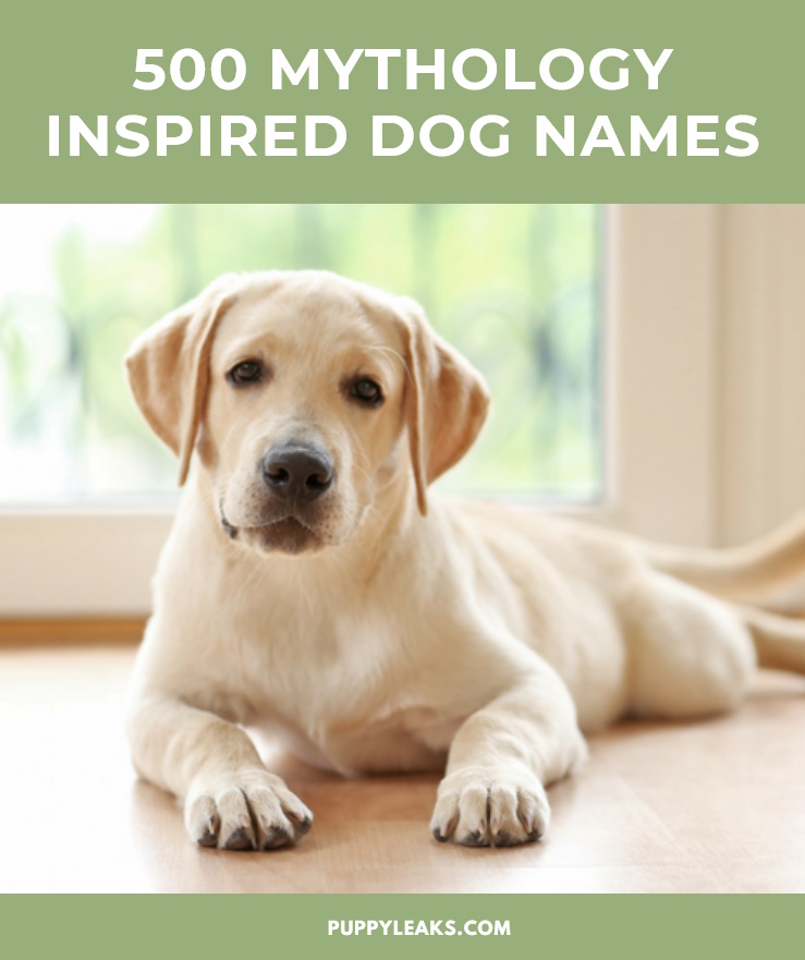 500 Mythology Inspired Dog Names