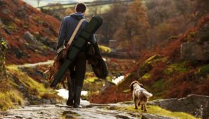 500 Country Inspired Dog Names