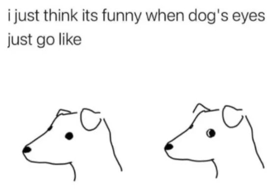 Dog giving the side eye