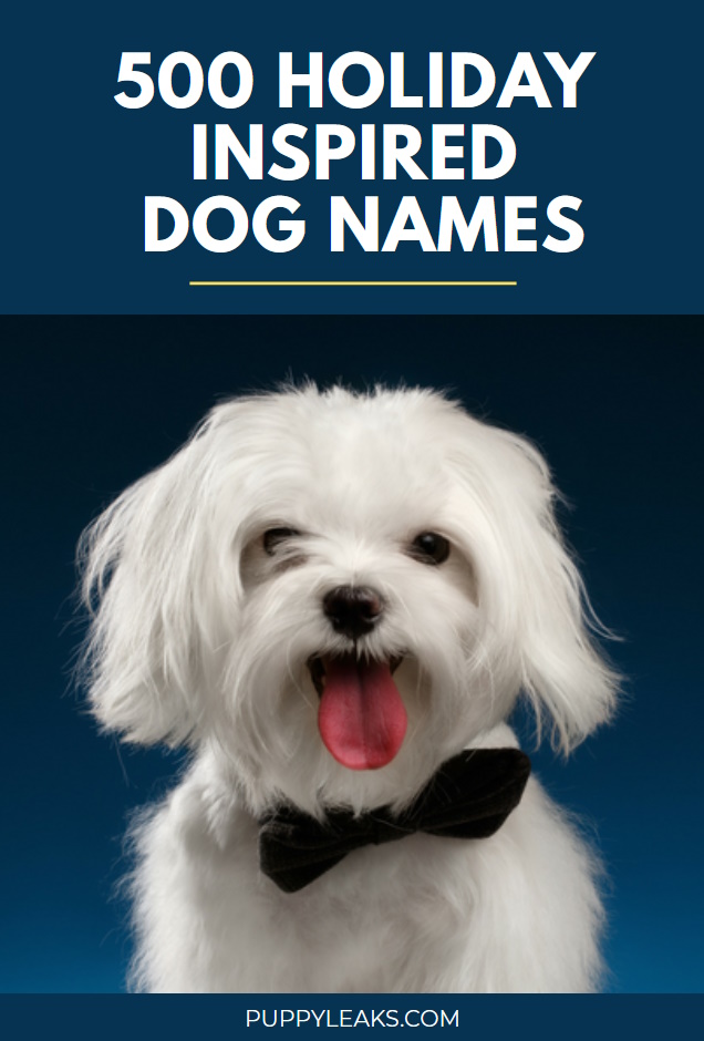500 Holiday Inspired Dog Names
